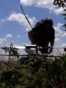 Ukraine Tests AI-Powered Drones As Debate Grows Over Autonomous Weapons GRAB 3