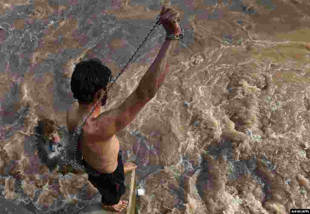 A Pakistani man carries a monkey as he tries to jump in a canal during a hot summer day in Lahore. (AFP/Arif Ali)