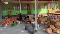 Täjigistanda türkmenler nar ýetişdirip, güzeran aýlaýar
