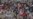 Russia's Immortal Regiment: From Grassroots To 'Quasi-Religious Cult'