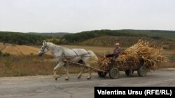 Portrete la Ungheni... de oameni, de case...