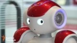 Токио: туристтерди робот тосо баштады