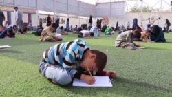 ماشومانو په خپلو رسمونو سره جنګ ته نه وویل