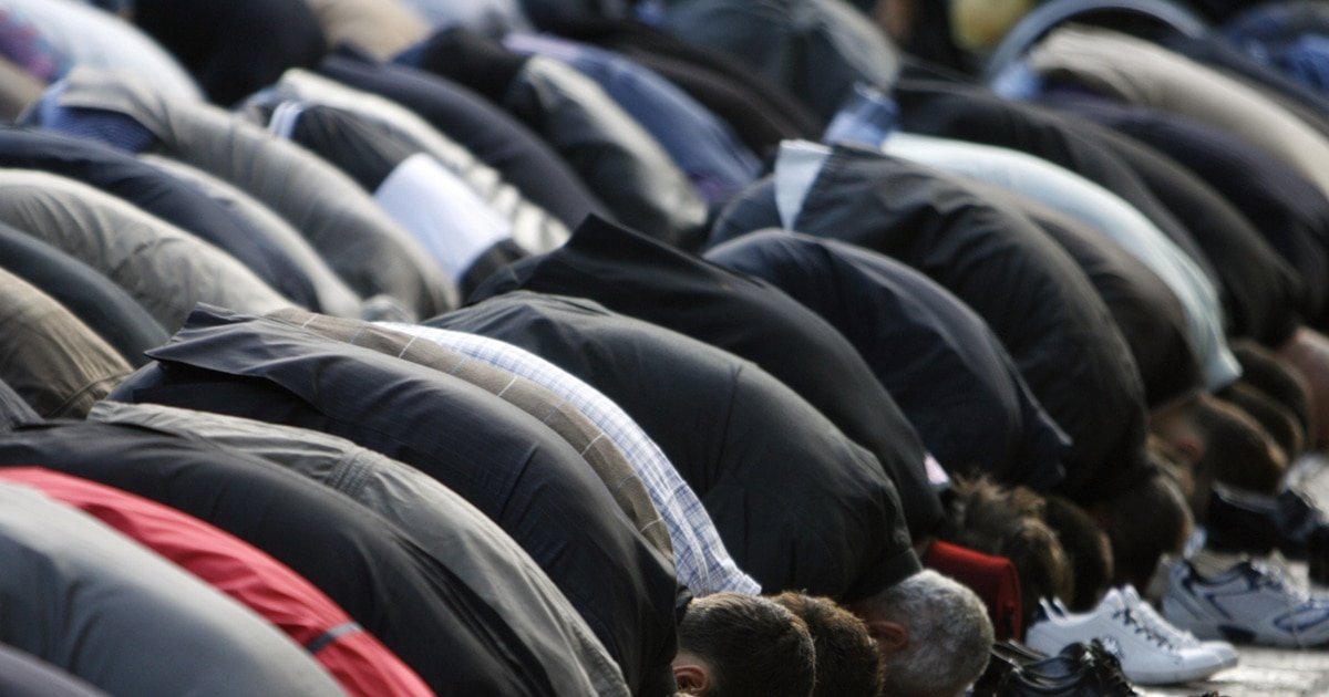 Жалаңаш модельдер фотогалереясы