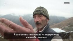 Кукиш Государства Российского. Как выживают фермеры