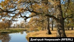 Рака Убарць. Лельчыцкі раён. Аўтар Дзмітры Некрашэвіч.