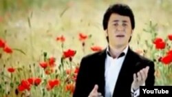 هنرمند جوان افغان، مهدی افشار