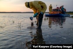 Сотрудник Greenpeace берет пробу реки близ Норильска, чтобы выяснить уровень загрязнения