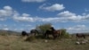 Wild horses, a tourist attraction in Livno, in the west of Bosnia and Herzegovina