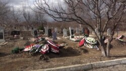 О жизни, смерти и всемирном наследии