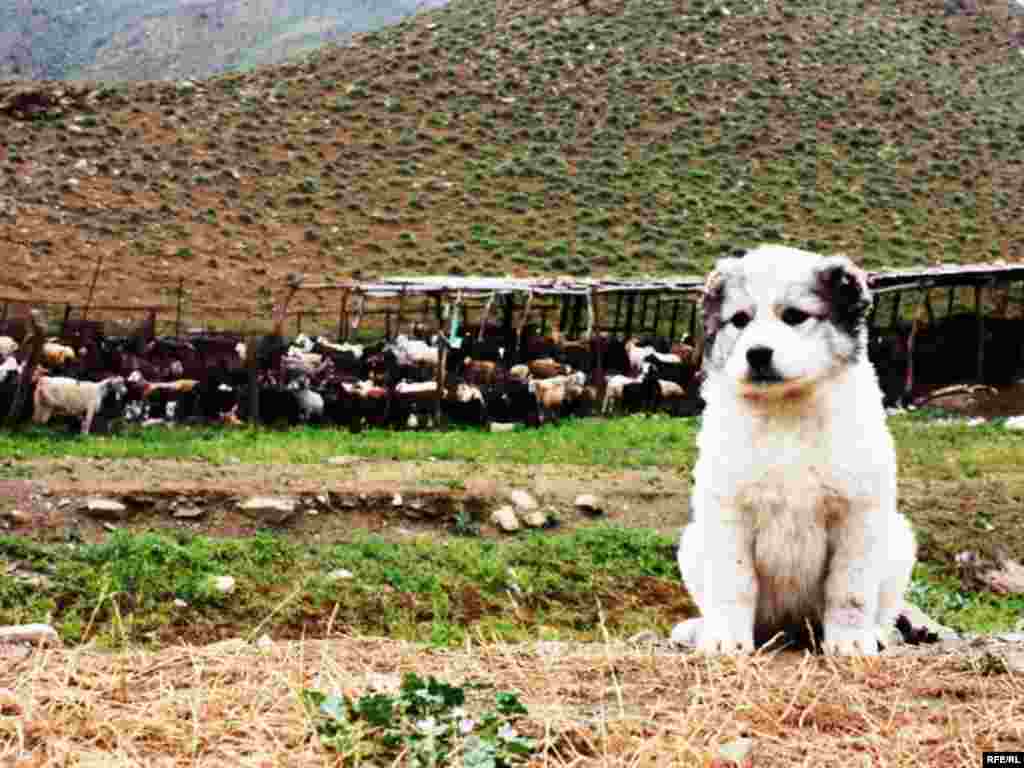 Türkmenistanyň çar tarapyndan #22