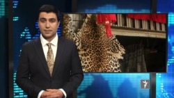 ازادي سټودیو – د نړۍ مهم خبرونه