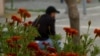 Migrant in Montenegro, protected identity