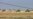 UN Asks Iraq For Ashraf Closure Delay