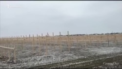 Cтроительство китайских теплиц в Крыму (видео)