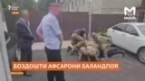 Афсарони баландпоя барои таҳияи ғайриқонунии санадҳои муҳоҷирон боздошт шуданд