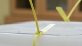 Elections under pressure: Can the CEC of BiH conduct presidential elections in the RS?
