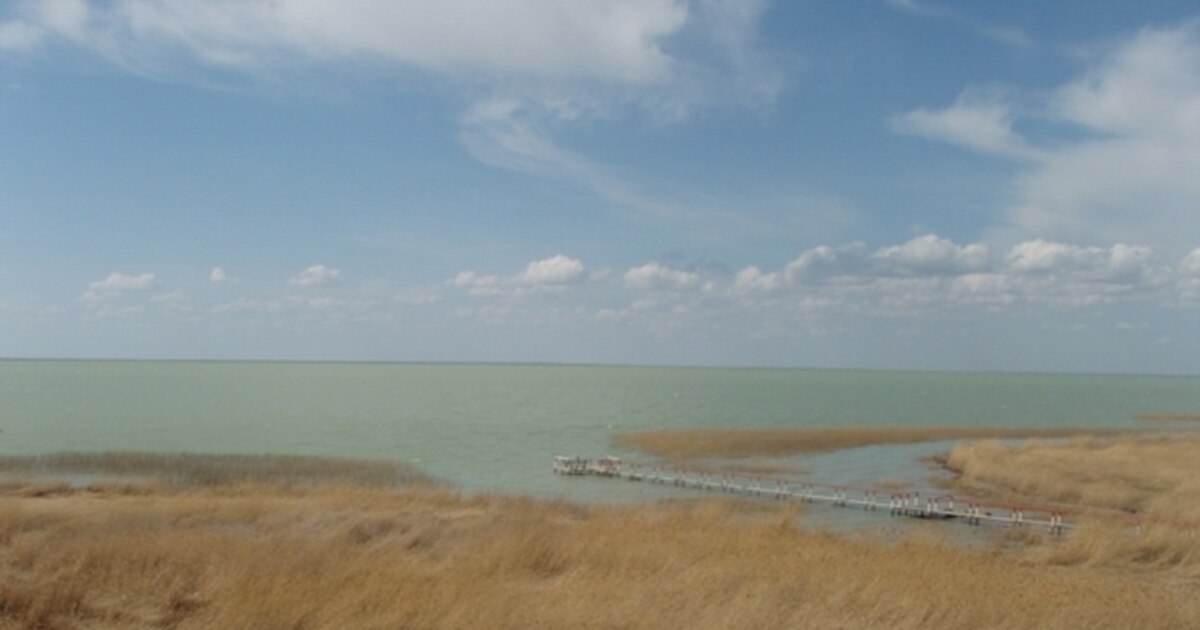 Презервативтен сперманы жұту порно Орыс моншасындағы секс онлайн порно