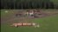 Russia -- Bashkortostan -- pig-breeding farm