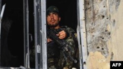 افغان سرتېری