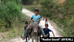 Tajik children riding a donkey.