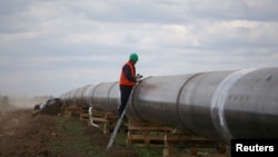 Работник на строителната площадка на продължението на „Турски поток“ през България. Снимката е от района на Летница и е направена на 1 юни 2020 г.