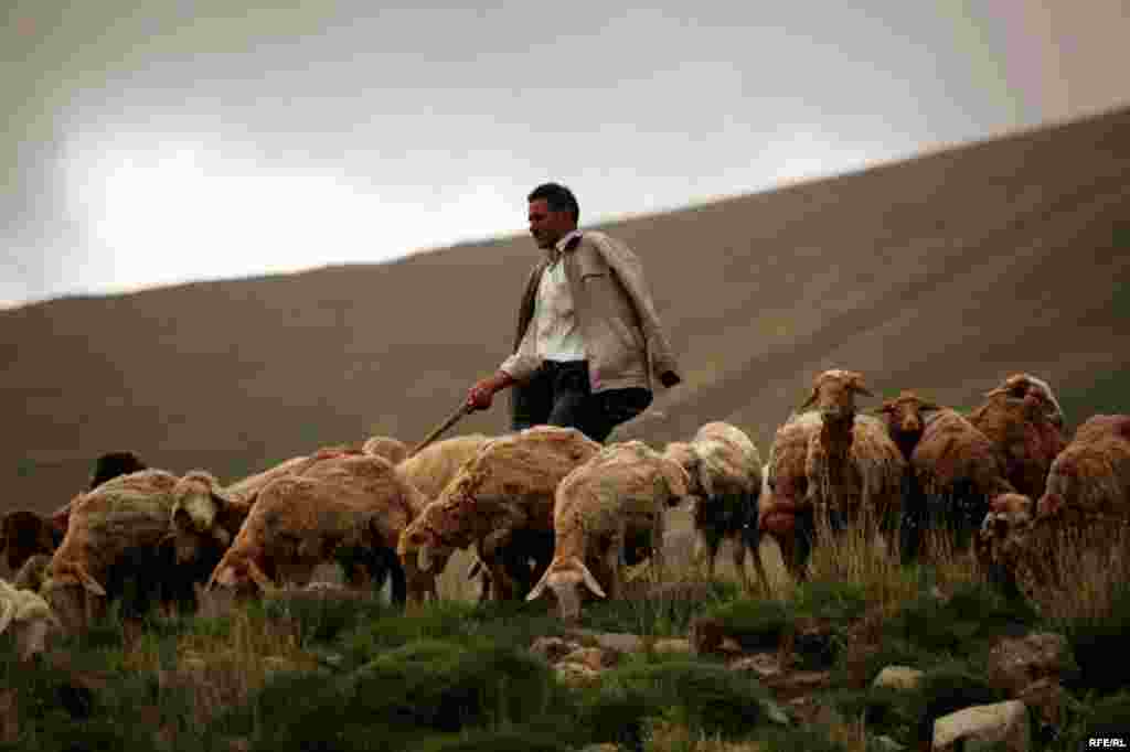 Savalanın ətəklərində köçəri Şahsevenlər #5