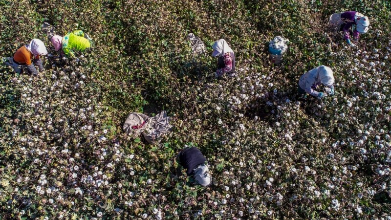 SUA ar putea interzice importul produselor din China realizate prin munca forțată a uigurilor