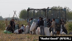 Акс аз бойгонӣ