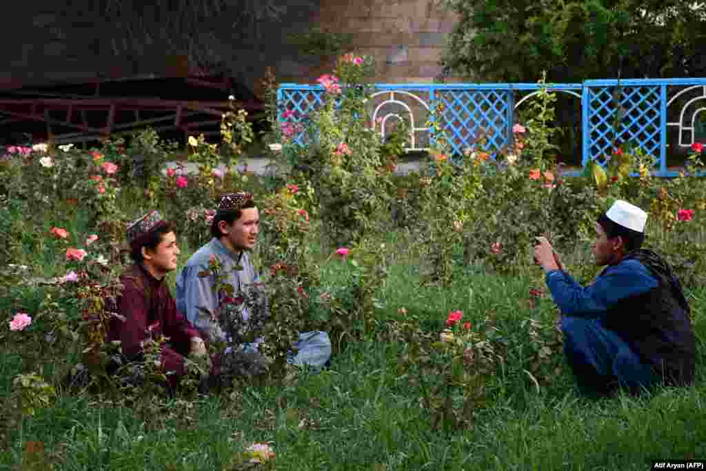 Afghan boys take photos in the courtyard of the Hazrat-e Ali Shrine or Blue Mosque in Mazar-e Sharif.