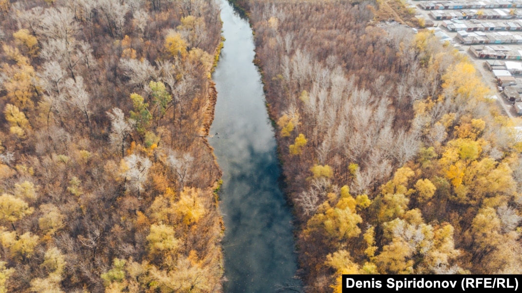 Женевьев Джоли порно онлайн