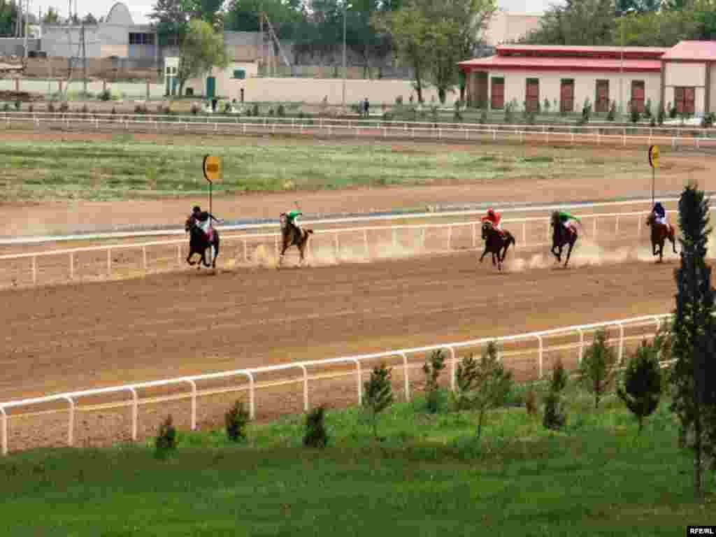 Ahal-teke atlarynyň baýramçylygy #21