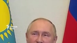 Тигры возвращаются в дикую природу Казахстана