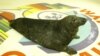 Серый тюлень Филя. Фото Мурманского океанариума