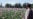 Blight Hits Afghanistan's Poppy Crop