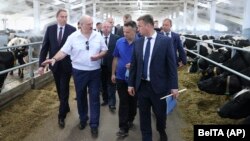 Aleksandr Lukașenka, în vizită la o fermă, 24 iunie 2021