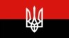 На Львівщині вивішуватимуть червоно-чорний прапор 10 разів у рік – рішення облради