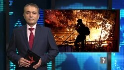 ستودیوی آزادی - تازه ترین خبرهای جهان