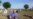 Activists Held Over Uzbek Child Workers