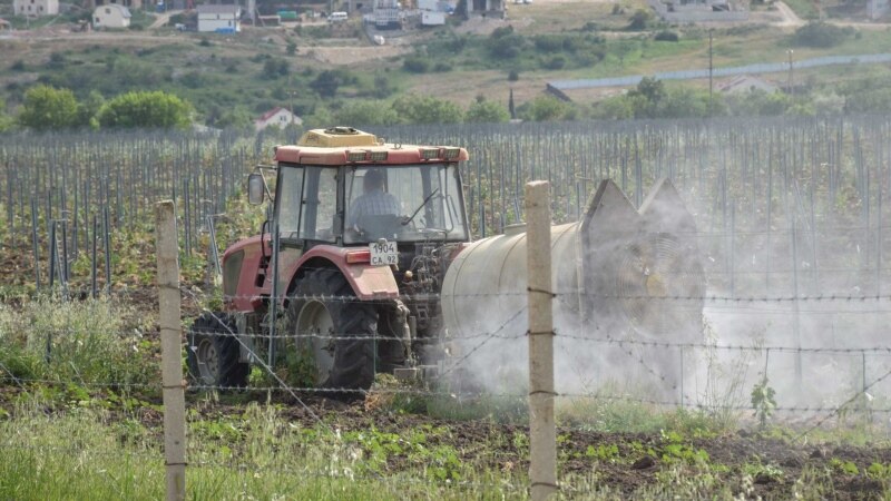 Трактор, распыляющий химикаты на виноградниках «Золотой Балки» | Крымское фото дня