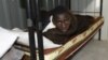 Amnesty: Libya Militias Committing Abuses