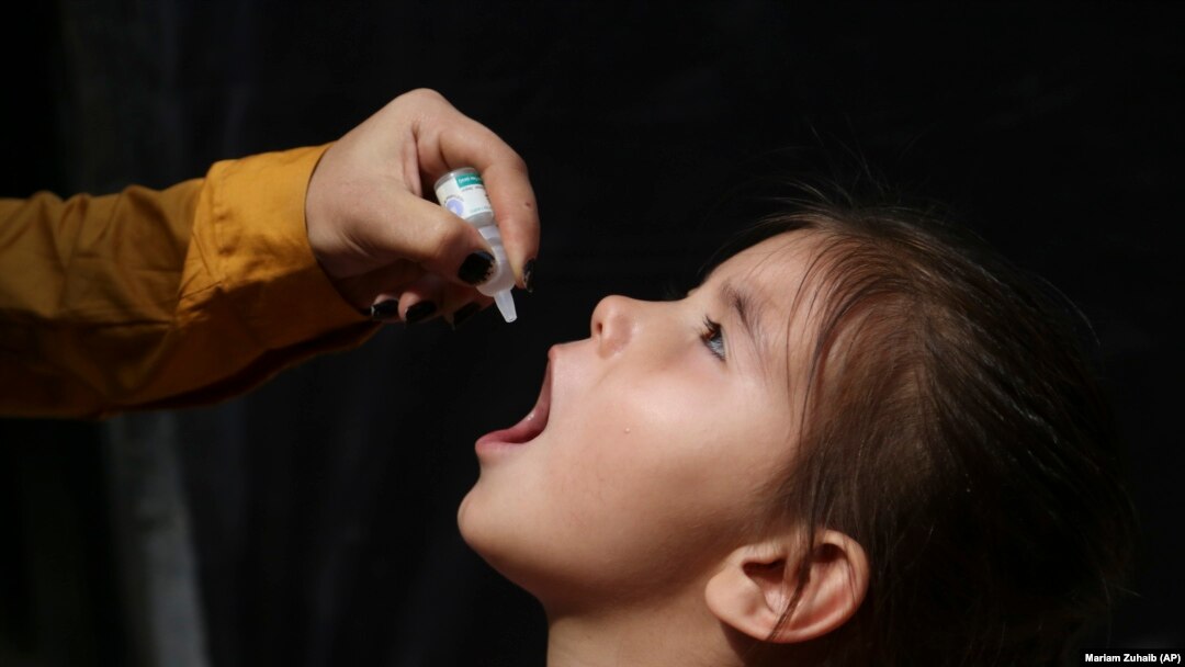 An Afghan girl is vaccinated during a polio-eradication campaign in Kabul on August 24.