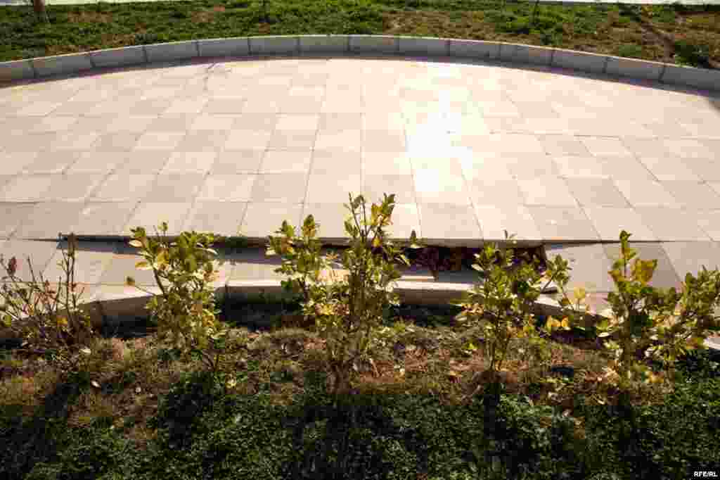 1 yaşlı qoca park #12