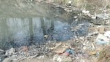 Pe râul Jiu, în apropiere de comuna Malu Mare, din județul Dolj, Apele Române au găsit mai mulți pești morți. Motivul ar fi poluarea cu azotat din amoniu, provenit, potrivit instituției, din ape menajere deversate ilegal.