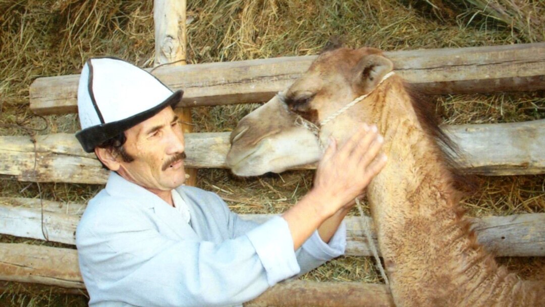 Комедиялық әйелдің порно суреттері