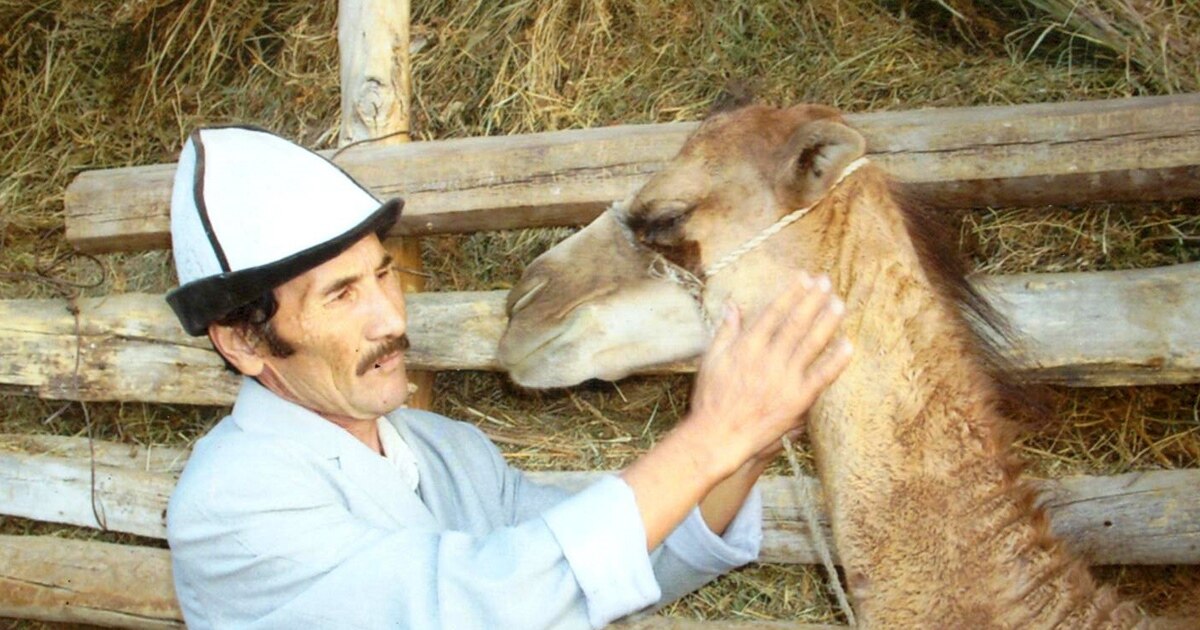 Көліктегі ерлер