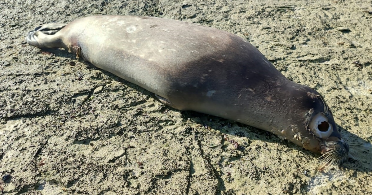 Порно кастингтегі қыздардың суреттері