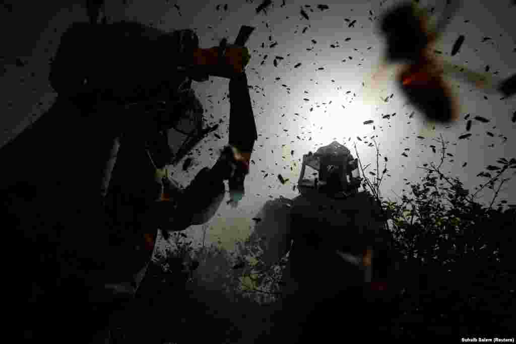 Palestinian beekeepers collect honey at a farm in Gaza City. (Reuters/Suhaib Salem)