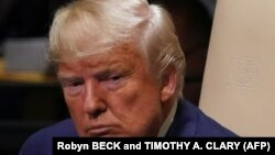 د امریکا د ولسمشر ډونالد ټرمپ