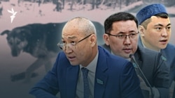 Депутаттар мен ит жанашырларының тартысы — AzatNEWS l 14.04.2026